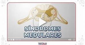 Síndromes Medulares | Dr. Matías.