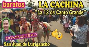 LA CACHINA " LA 12 DE CANTO GRANDE" en SAN JUAN DE LURIGANCHO, día de feria dominguera / LIMA - PERÚ