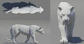 Creature animation study. Tiger walk and run cycles.