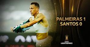 Palmeiras vs. Santos FC [1-0] | FINAL | PALMEIRAS CAMPEÓN | CONMEBOL Libertadores 2020