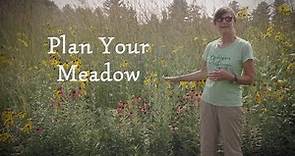 Planning Your Wildflower Meadow || Michigan Wildflower Farm
