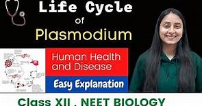 Life Cycle of Plasmodium | Malaria Parasite | CLASS XII | NEET