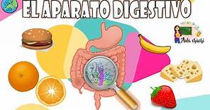 El Aparato Digestivo | Aula chachi - Vídeos educativos para niños