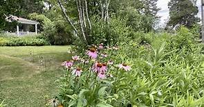 View Our Native Plantings This Summer - The Long Island Conservancy