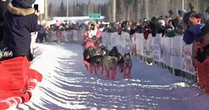 Iditarod mushers begin race across Alaska