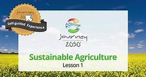 Journey 2050 Lesson 1: Sustainable Agriculture | Self-Guided Experience