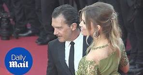 Antonio Banderas and girlfriend Nicole looked loved up in Cannes - Daily Mail