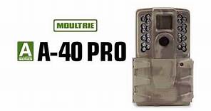 Moultrie A-40 Pro Game Camera (2018) | MCG-13273 | Product Video