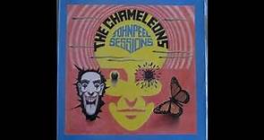 The Chameleons - John Peel Sessions 1981-84 (Full Album Vinyl 1990)