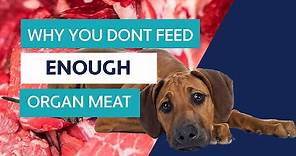 Does Your Raw Dog Food Have Enough Organ Meat?