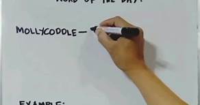Word of the day: MOLLYCODDLE | Tim Tim TV
