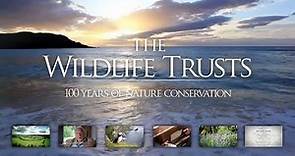 100 years of nature conservation