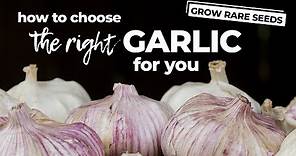 How To Choose the Best Garlic To Plant