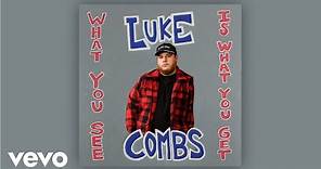 Luke Combs - What You See Is What You Get (Audio)