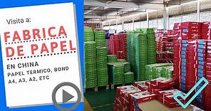 📑 Visitamos Fábrica de Papel en China📄Papel Bond y Térmico la Mejor Fábrica 👈 - Cómprale a China