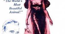 La condesa descalza (1954) Online - Película Completa en Español - FULLTV