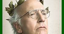 Curb Your Enthusiasm Season 9 - watch episodes streaming online