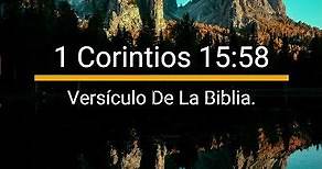 1 Corintios 15;58 -Versículo De La Biblia