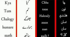 Learn Sindhi Language Course | Sindhi Language Through Hindi|Urdu Lesson #17