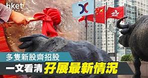 【新股IPO】天齊鋰業9696暫錄近4億孖展、未足額　一文看清多隻新股孖展詳情（不斷更新） - 香港經濟日報 - 即時新聞頻道 - 即市財經 - 新股IPO