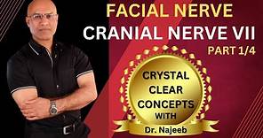 Facial Nerve | Neuroanatomy | Part 1/4