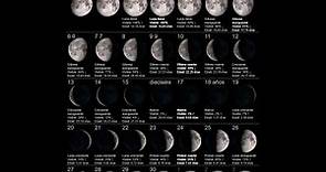 CALENDARIO LUNAR PARA SEPTIEMBRE 2020 // Fases de la Luna, superficie visible y edad ¡día a día!