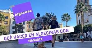 ¿Qué hacer en ALGECIRAS, ESPAÑA? Tips para viajar con MASCOTA🐶