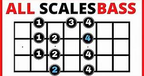 ✅ Bass Guitar Scales for Beginners 💥【All You Need to Know】✅ Bass Scales Patterns