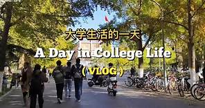 A Day in College Life🍂 | Indonesian Student in China 🇮🇩🇨🇳 | BEIJING JIAOTONG UNIVERSITY 北京交通大学📚