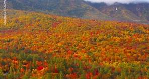 Breathtaking fall foliage colors line trees throughout New Hampshire