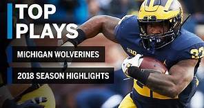 2018 Season Highlights: Michigan Wolverines | Big Ten Football