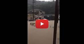 Meteo Cronaca Diretta Video: BRASILE, Devastante Alluvione nello stato di Rio de Janeiro, Auto Spazzate Via