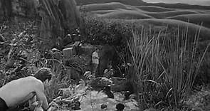 Tarzan Furia salvaje 1952.Dual.SUBT