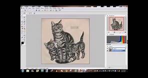 Free Software for Tattooing Tattoo University