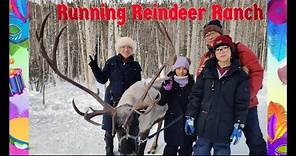 Running Reindeer Ranch, Fairbanks Alaska