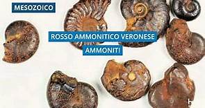 Storia geologica d'Italia
