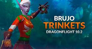 EXPLICACIÓN de funcionamiento de TRINKETS BIS y otras opciones para el BRUJO | Dragonflight 10.2