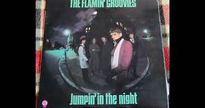 The Flamin' Groovies - Jumpin' In The Night 1979 Full Album Vinyl