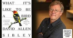 David Allen Sibley, "What It's Like To Be A Bird"
