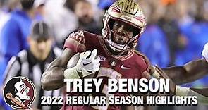 Trey Benson 2022 Regular Season Highlights | Florida State RB