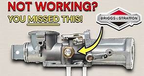 Briggs & Stratton Pulsa Jet Carburetor Service & Repair! (EASY DIY TUTORIAL)