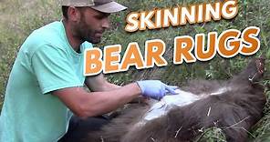 Bear Rug Skinning