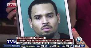 Singer Chris Brown arrested on felony assault charge in Palm Beach County
