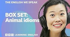 BOX SET: English vocabulary mega-class! 😍 Learn 7 English idioms in 15 minutes!