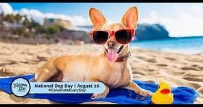 National Dog Day | August 26