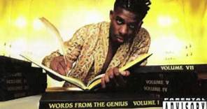 GZA - WORDS FROM THE GENIUS (1991)