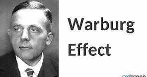 Warburg Effect | Nobel Prize | PET CT