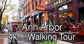 Walking In Ann Arbor to University of Michigan | 4k 60 FPS | Chill Relax Lofi Music