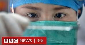 肺炎疫情：N95、外科口罩、布料口罩，哪一個更加適合你？－ BBC News 中文