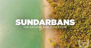 SUNDARBAN Tour - The Natural Shield on Earth | Sundarban National Park Delta - Sundarban Documentary